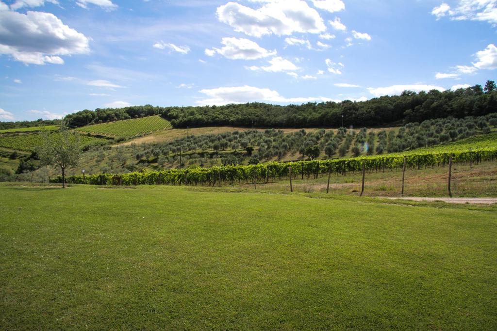 Agriturismo Panzanello Panzano in Chianti Exterior foto